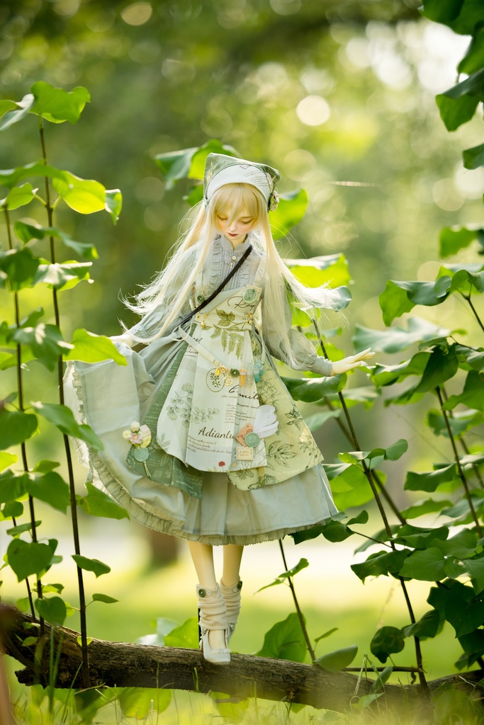 ボタニスト(1/3ドール共通)