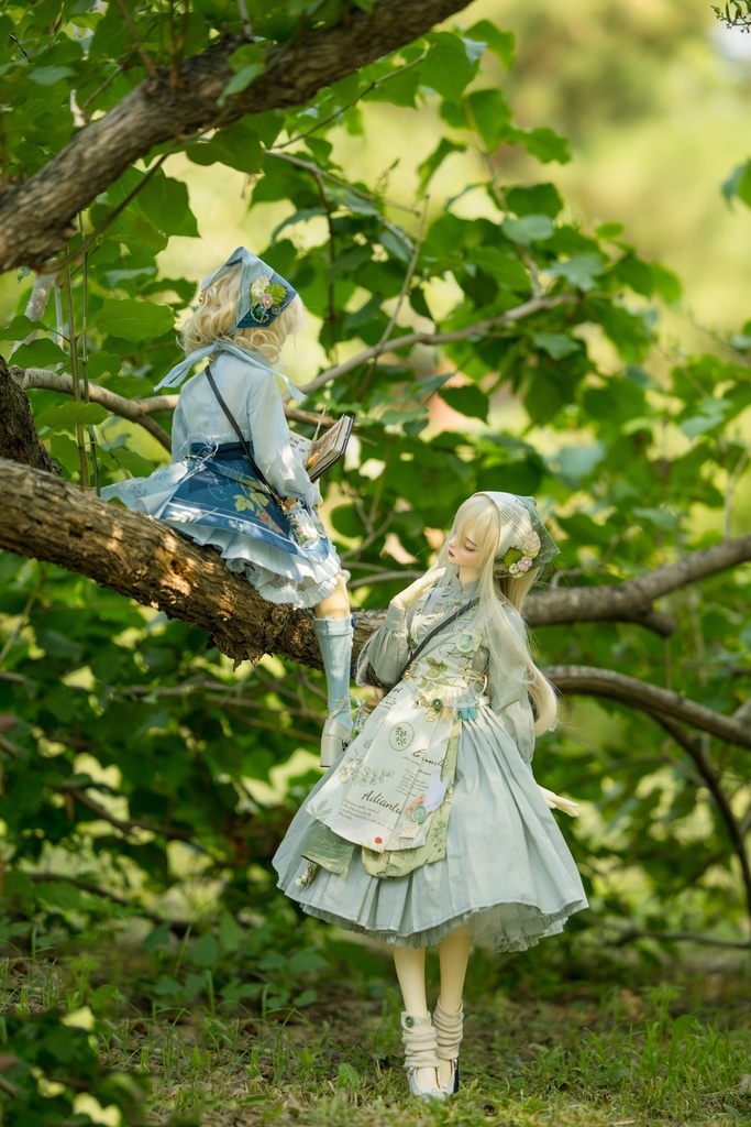 ボタニスト(1/3ドール共通)