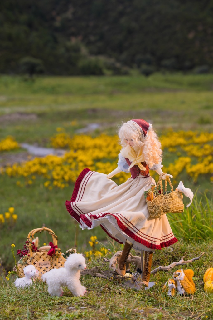 アルプスの花乙女(1/3ドール・1/4ドール共通) 期間限定予約