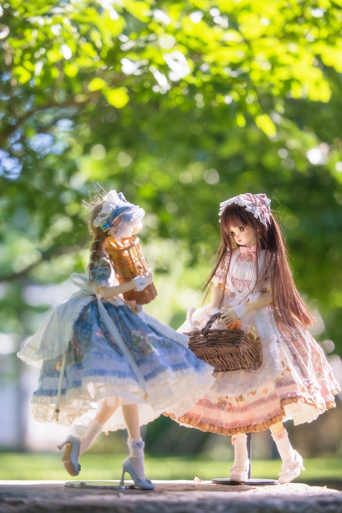 猫の幻匣 (MDD・SDM・MSD・KUMAKO・1/4ドール共通) 「受注」