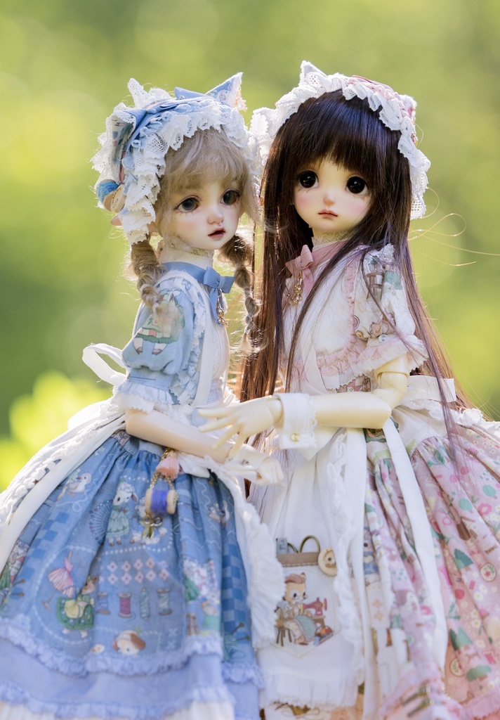 猫の幻匣 (MDD・SDM・MSD・KUMAKO・1/4ドール共通) 「受注」