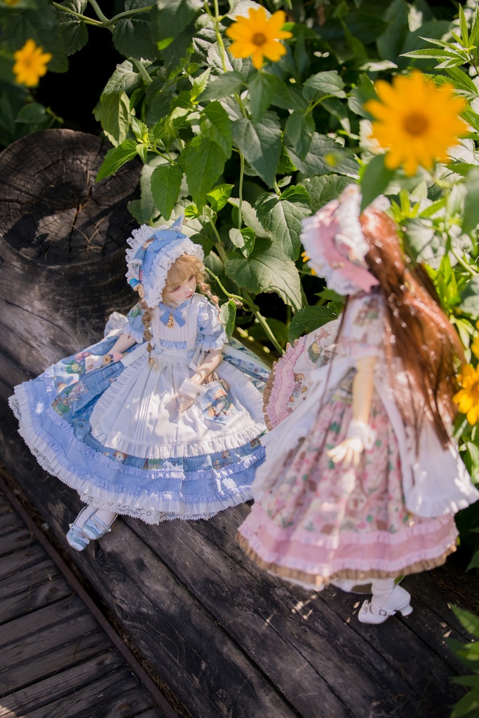 猫の幻匣 (MDD・SDM・MSD・KUMAKO・1/4ドール共通) 「受注」
