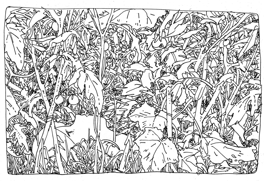 夏草トートバッグ2 M