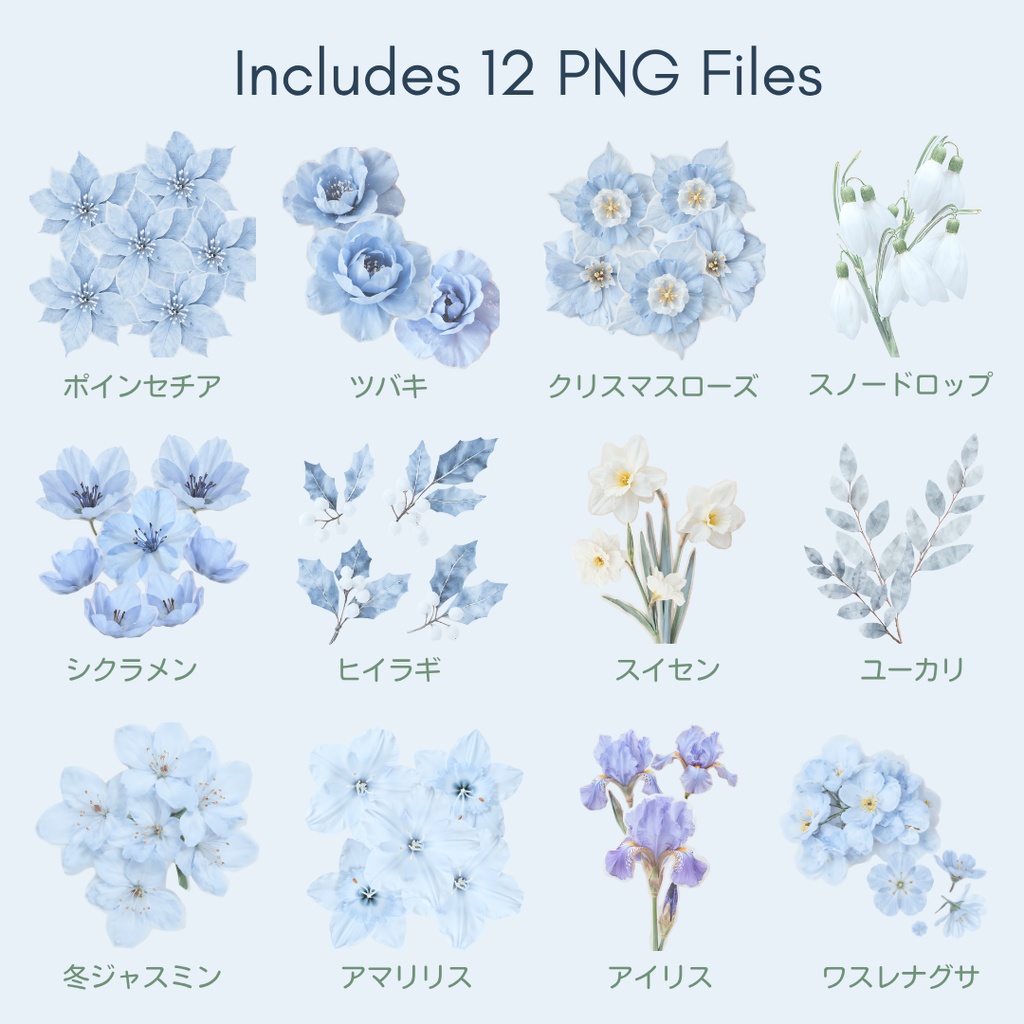 ブルーベースの冬の花クリップアート|水彩風フローラルイラストセット|透明背景PNG素材|Eucharisbouquet