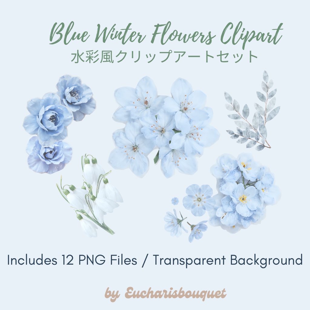 ブルーベースの冬の花クリップアート|水彩風フローラルイラストセット|透明背景PNG素材|Eucharisbouquet
