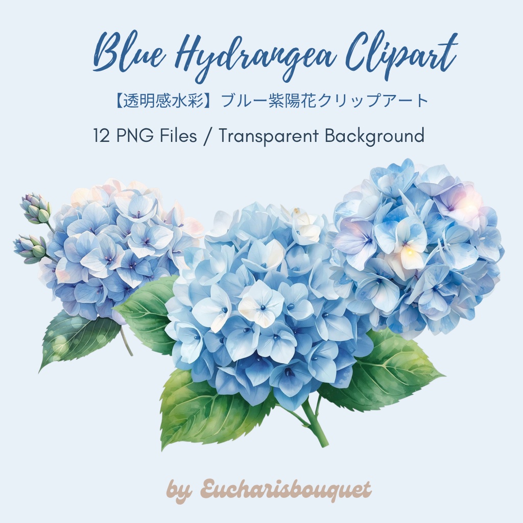 【透明感水彩】ブルー紫陽花クリップアート|12PNG・背景透過|ウェディング・デザイン素材