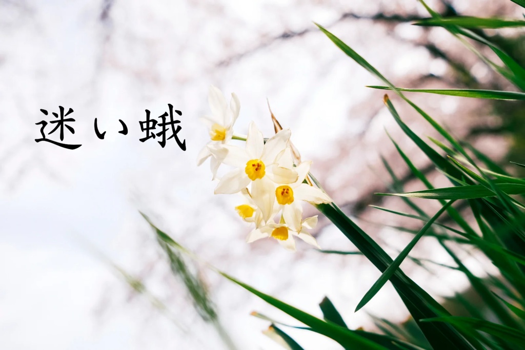 CoCシナリオ【迷い蛾】