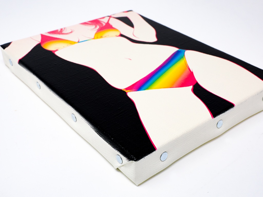 【限定1点】ミニキャンバス No.050 〜 色彩の誘惑 〜 +おまけポストカード7枚セット