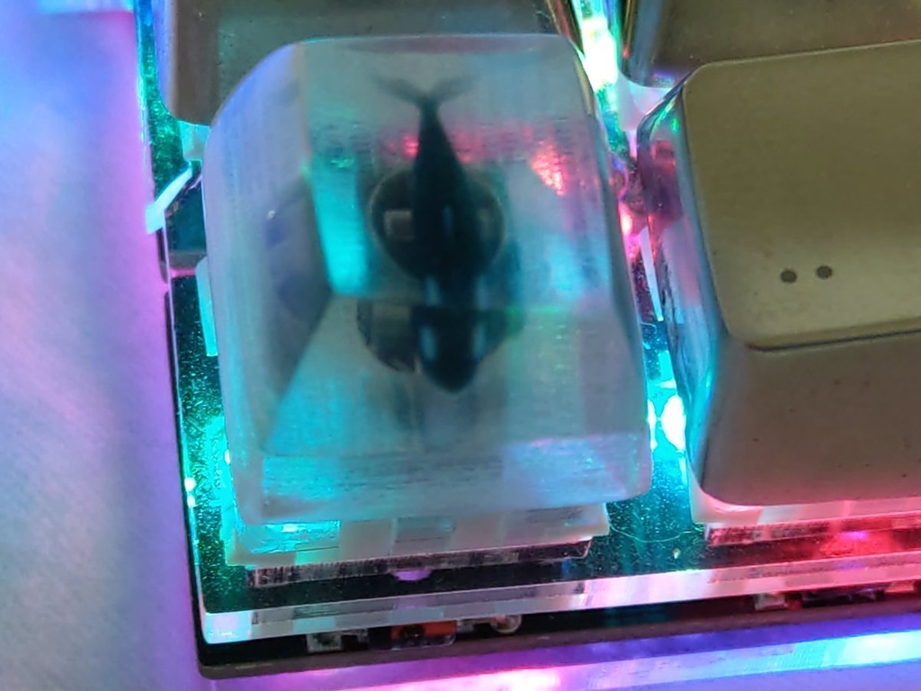 シャチキーキャップ