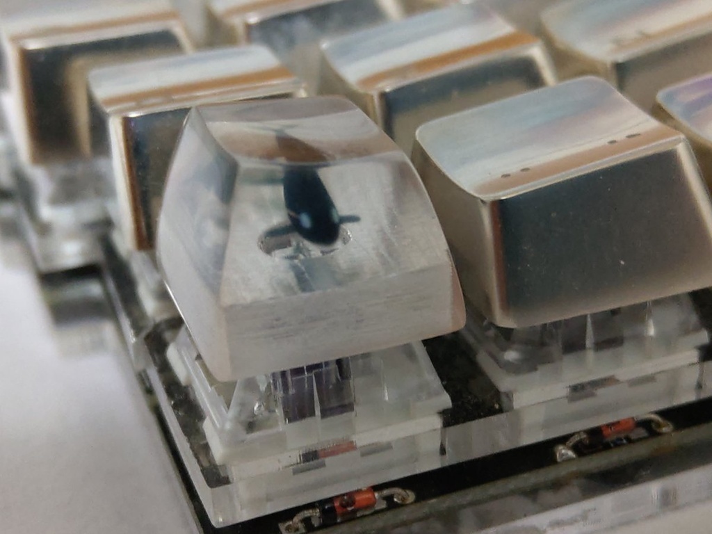 シャチキーキャップ