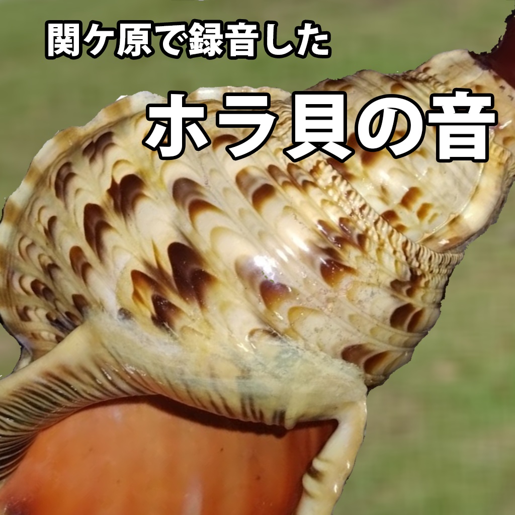 【無料】関ケ原で録音した、ほら貝の音