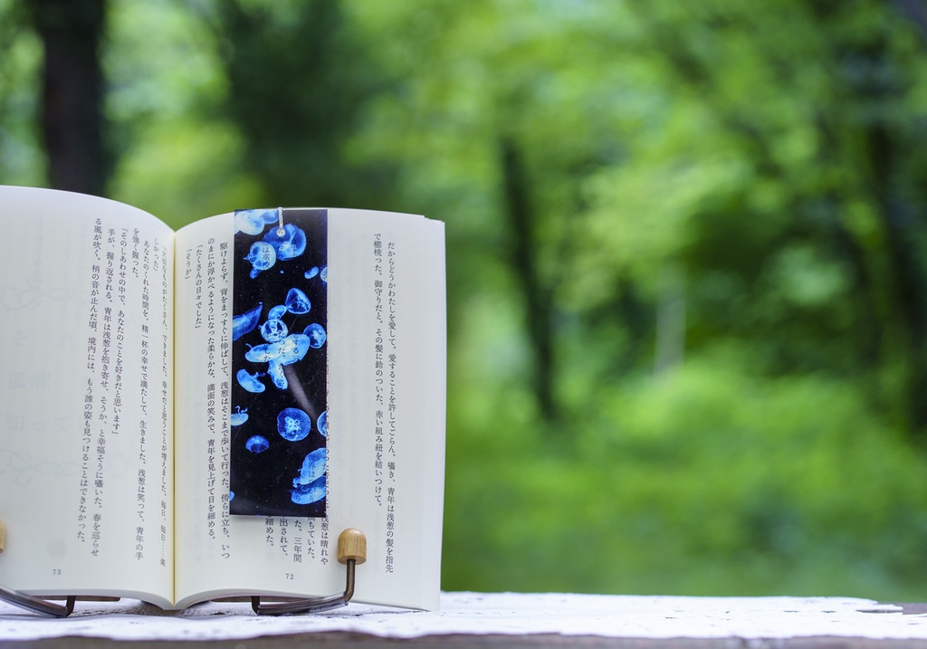 初夏の透明しおり(3枚セット)