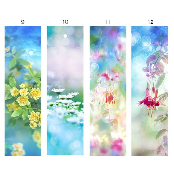 初夏の透明しおり(3枚セット)