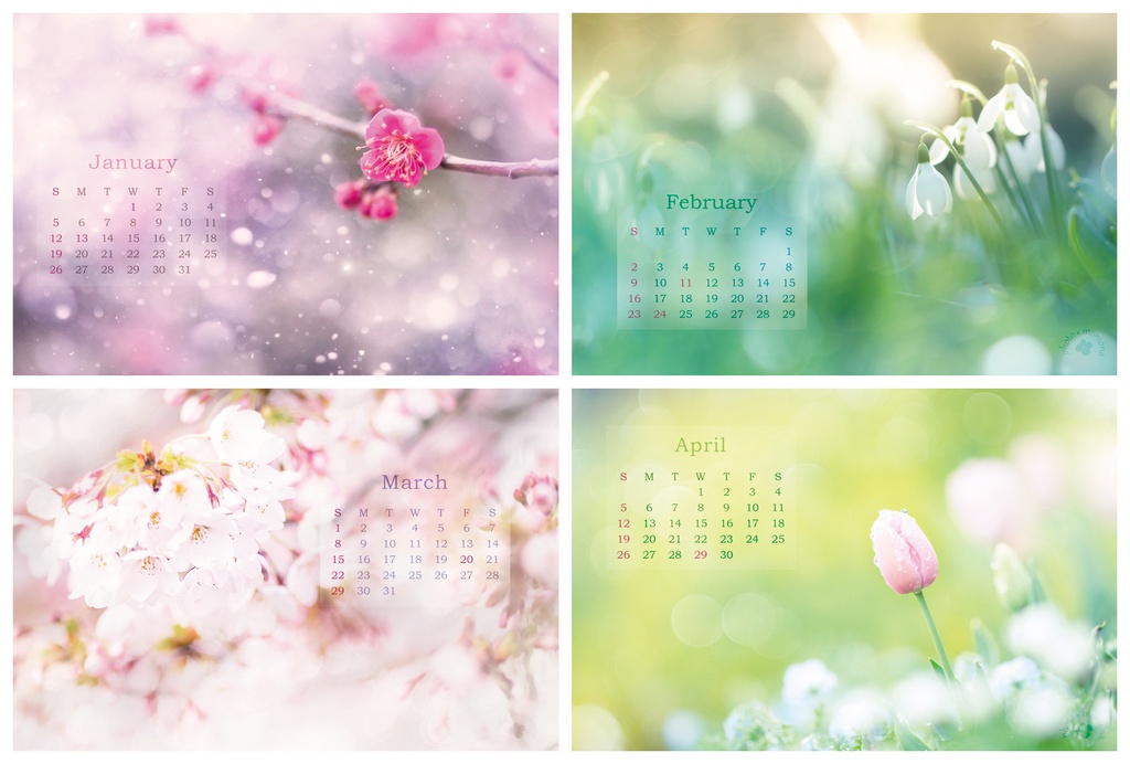 フラワーフォトカレンダー2020