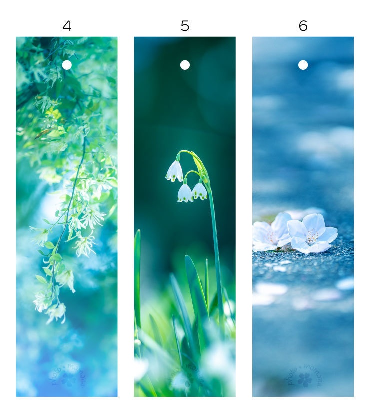 春の透明しおり(3枚セット)