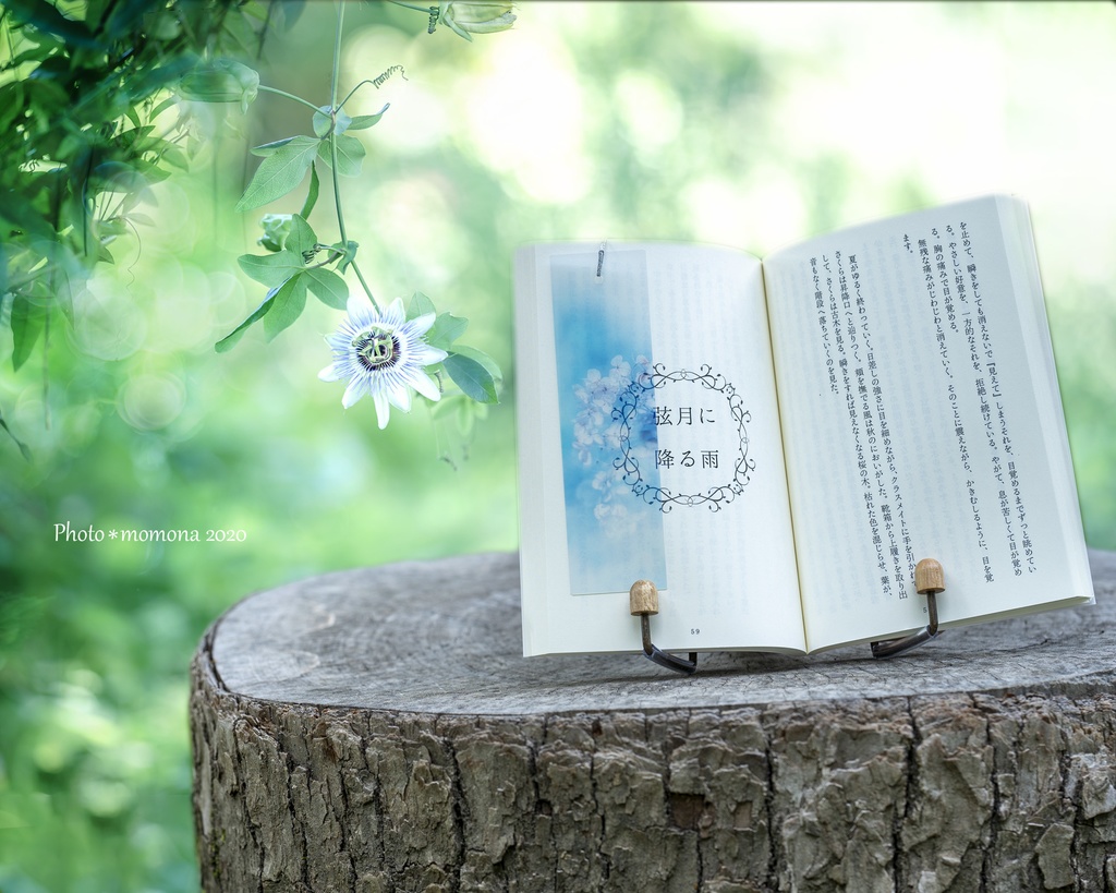 春の透明しおり(3枚セット)