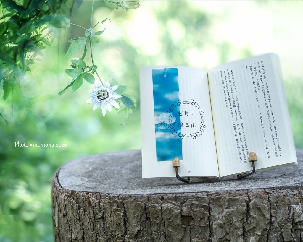 春の透明しおり(3枚セット)