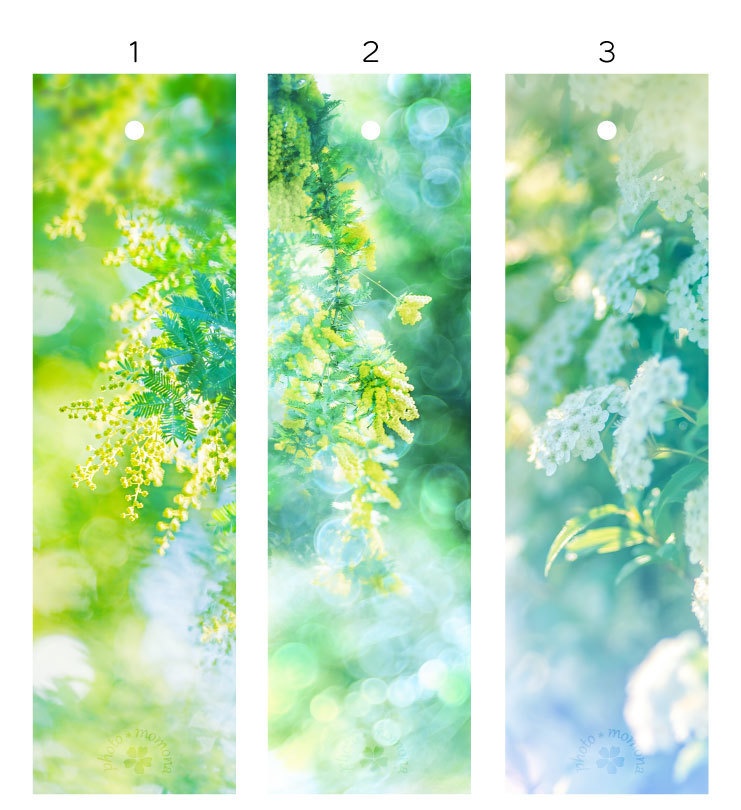 春の透明しおり(3枚セット)