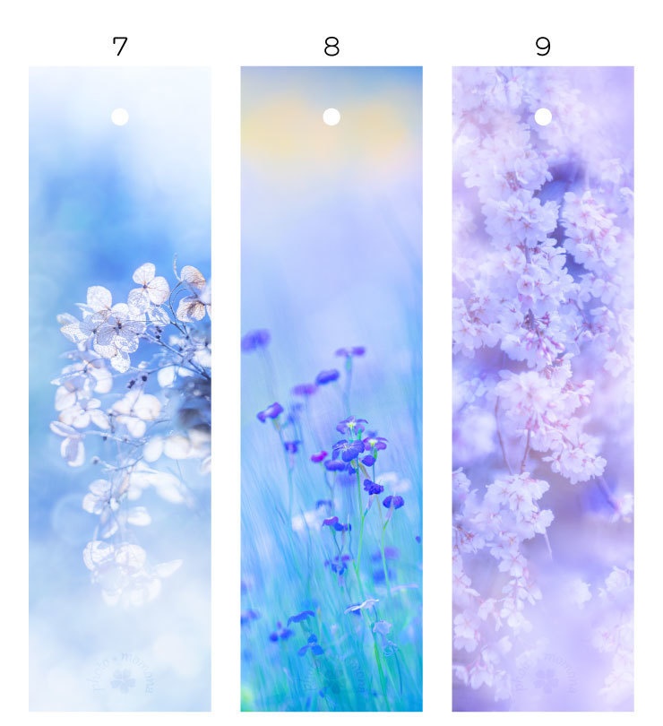 春の透明しおり(3枚セット)