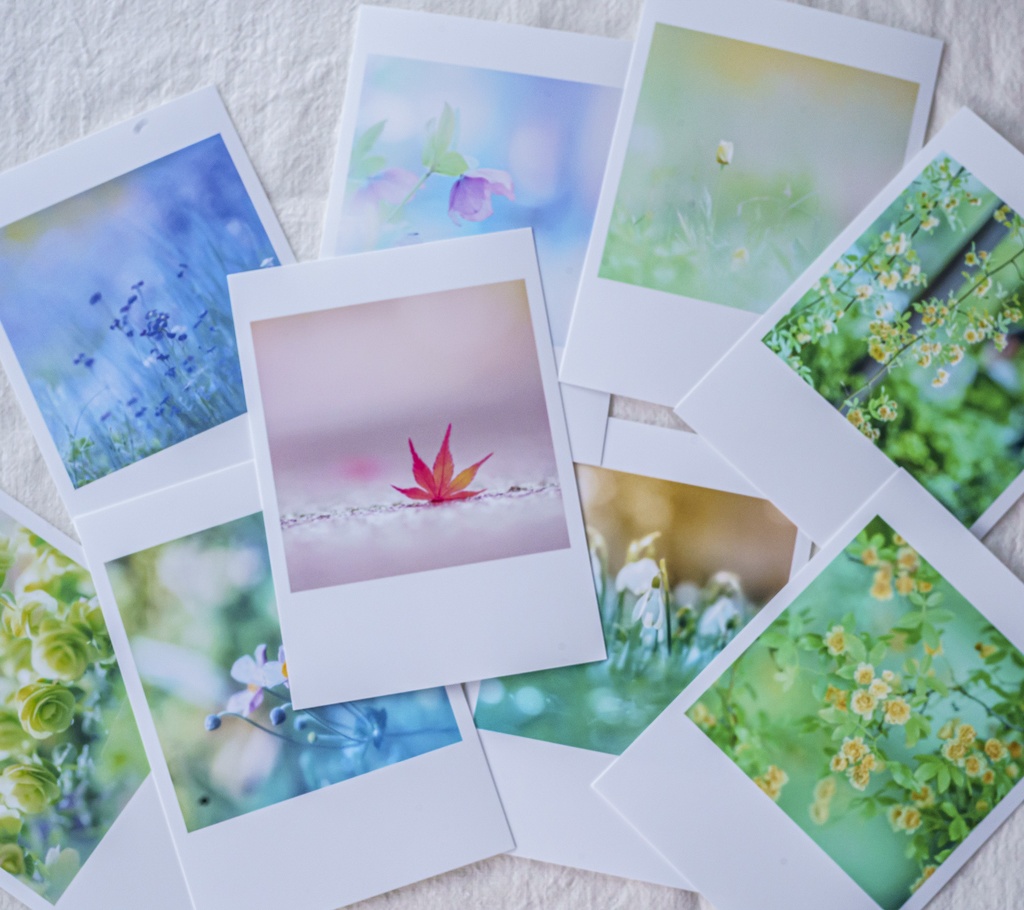 在庫一掃セール