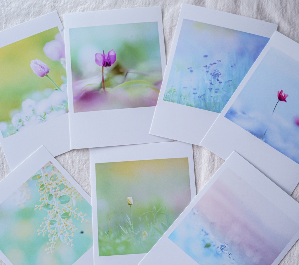 在庫一掃セール