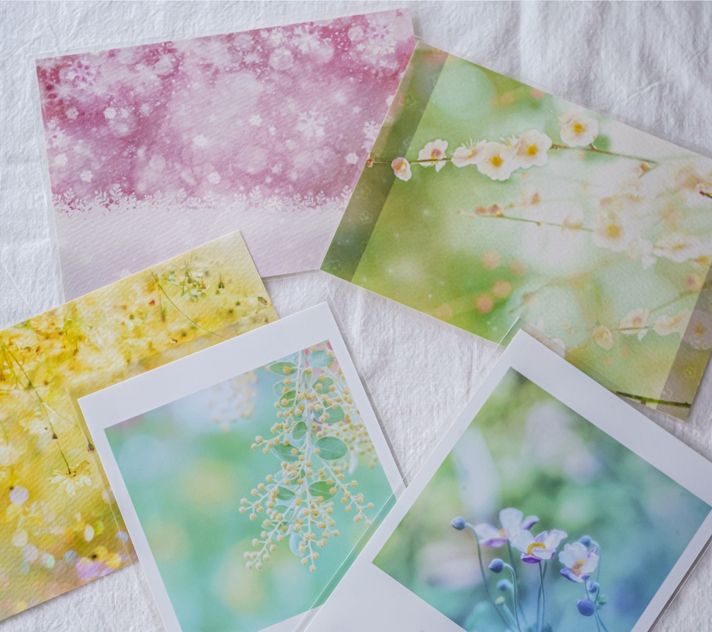 在庫一掃セール