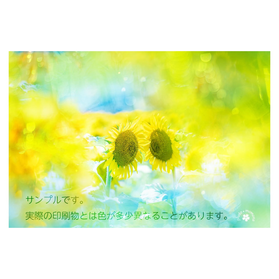 夏のなごりのポストカード(3枚セット)