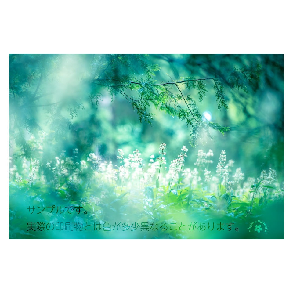 夏のなごりのポストカード(3枚セット)