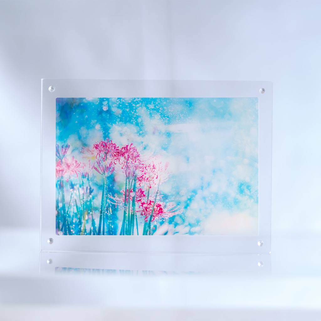 彼岸花の透明しおり