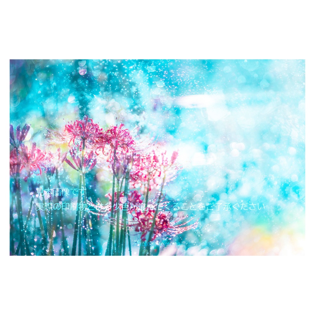 彼岸花の透明しおり