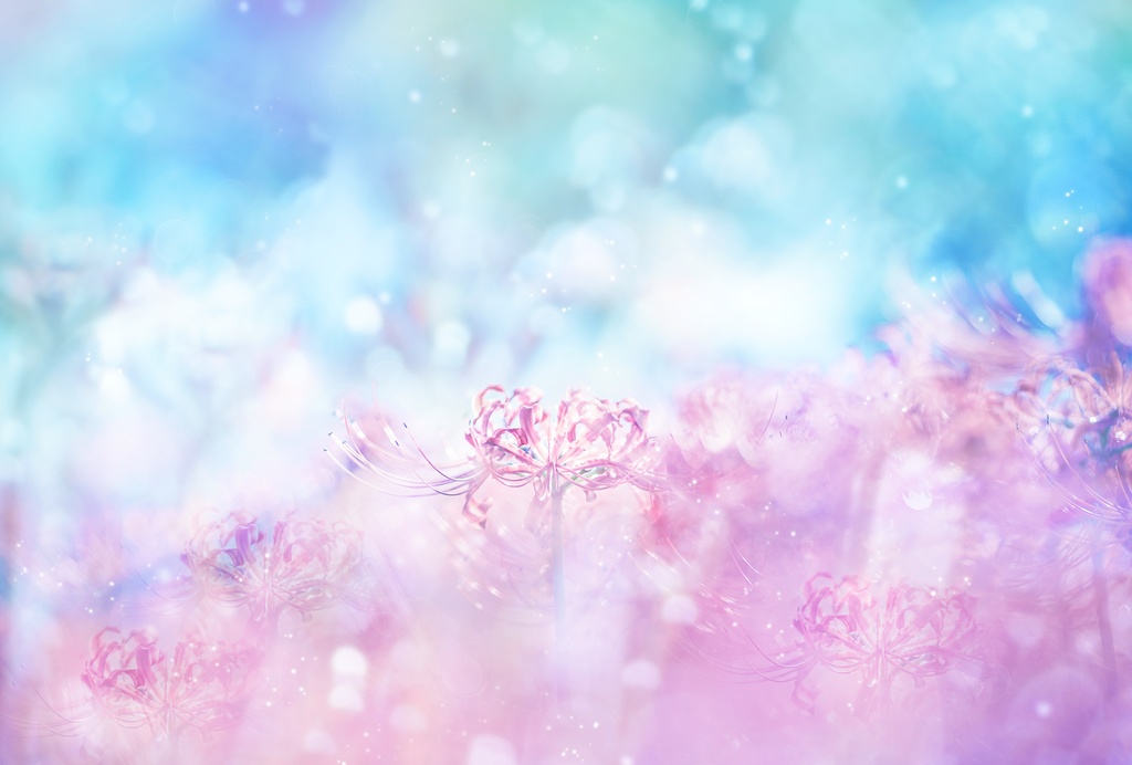 フラワーフォトカレンダー2021