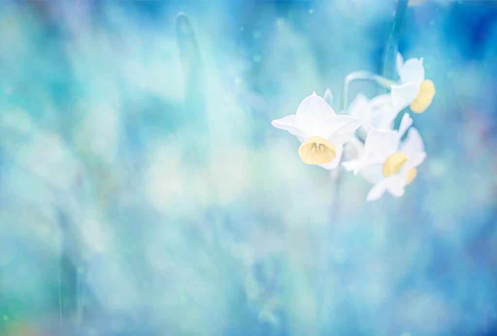 フラワーフォトカレンダー2021