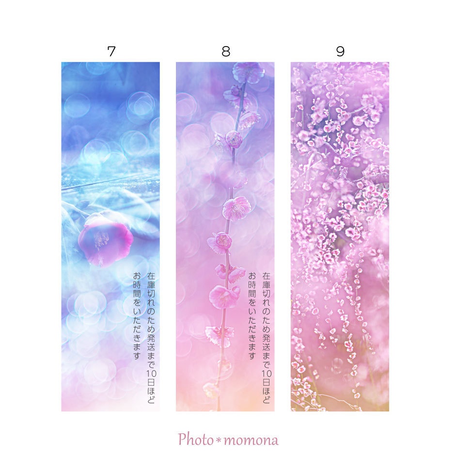 早春の透明しおり4枚セット