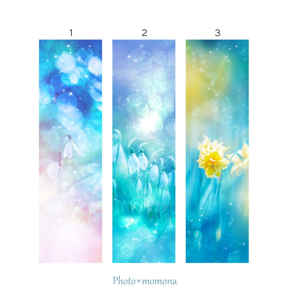 早春の透明しおり4枚セット