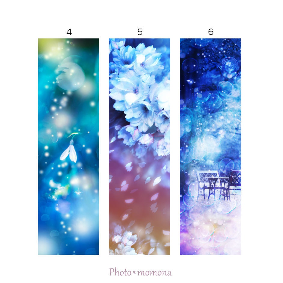 早春の透明しおり4枚セット