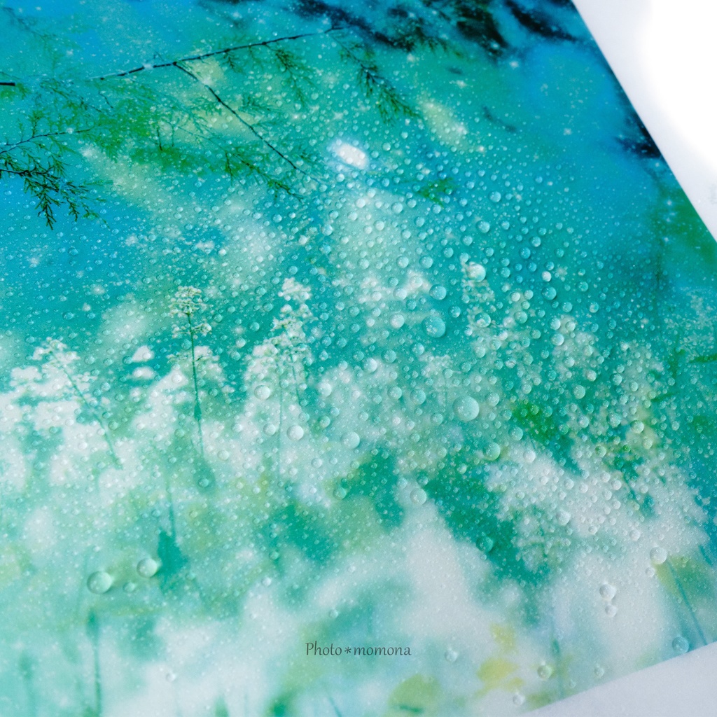 蝋引き和紙の森のブックカバー(文庫用)