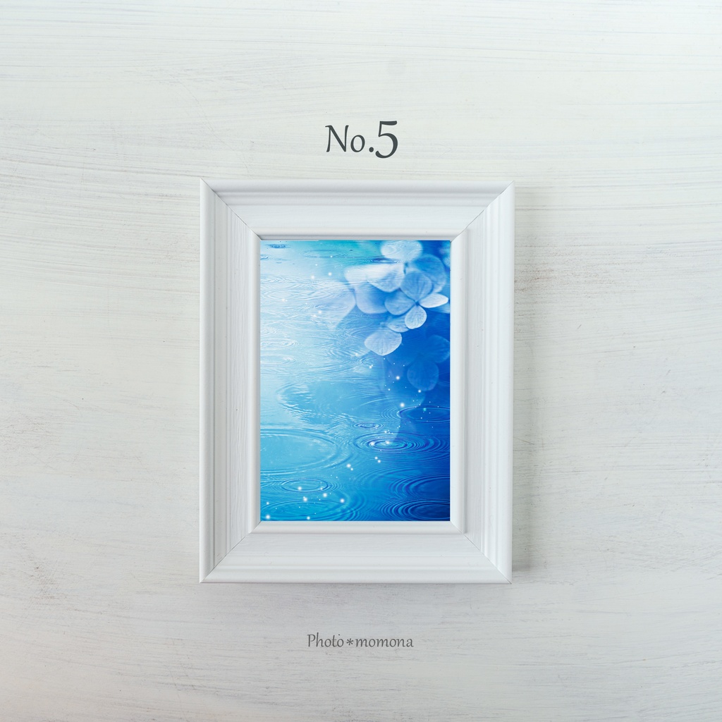 選べる紫陽花写真4枚セット