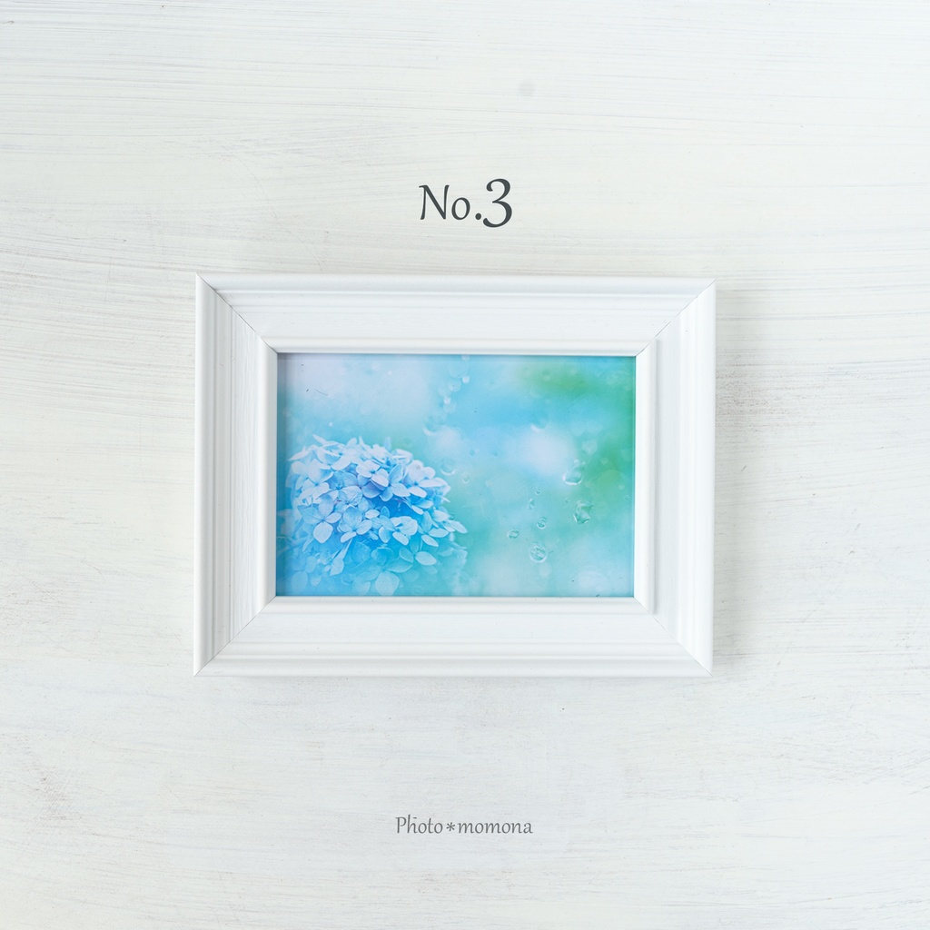 選べる紫陽花写真4枚セット