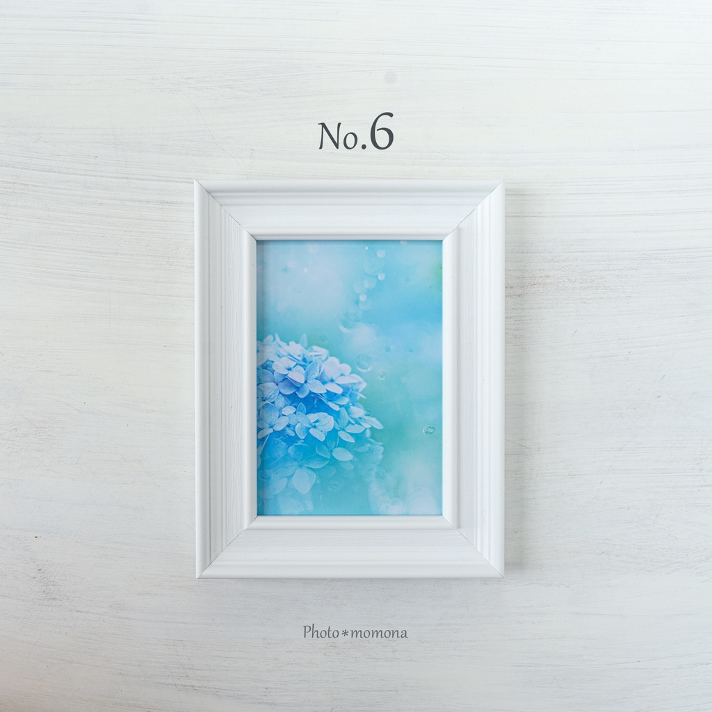 選べる紫陽花写真4枚セット