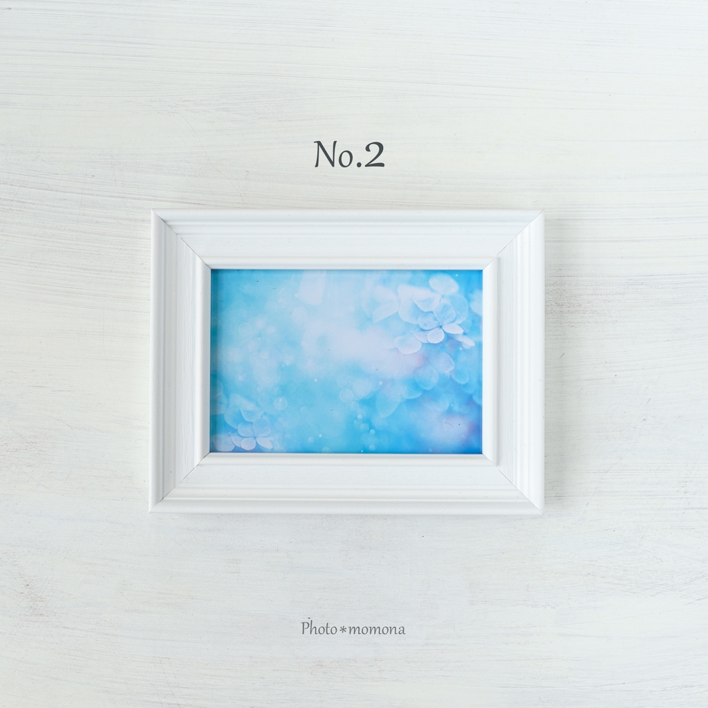 選べる紫陽花写真4枚セット