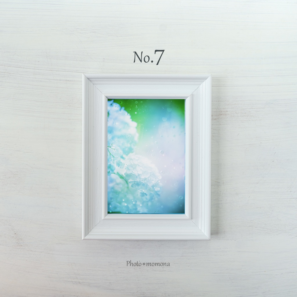 選べる紫陽花写真4枚セット