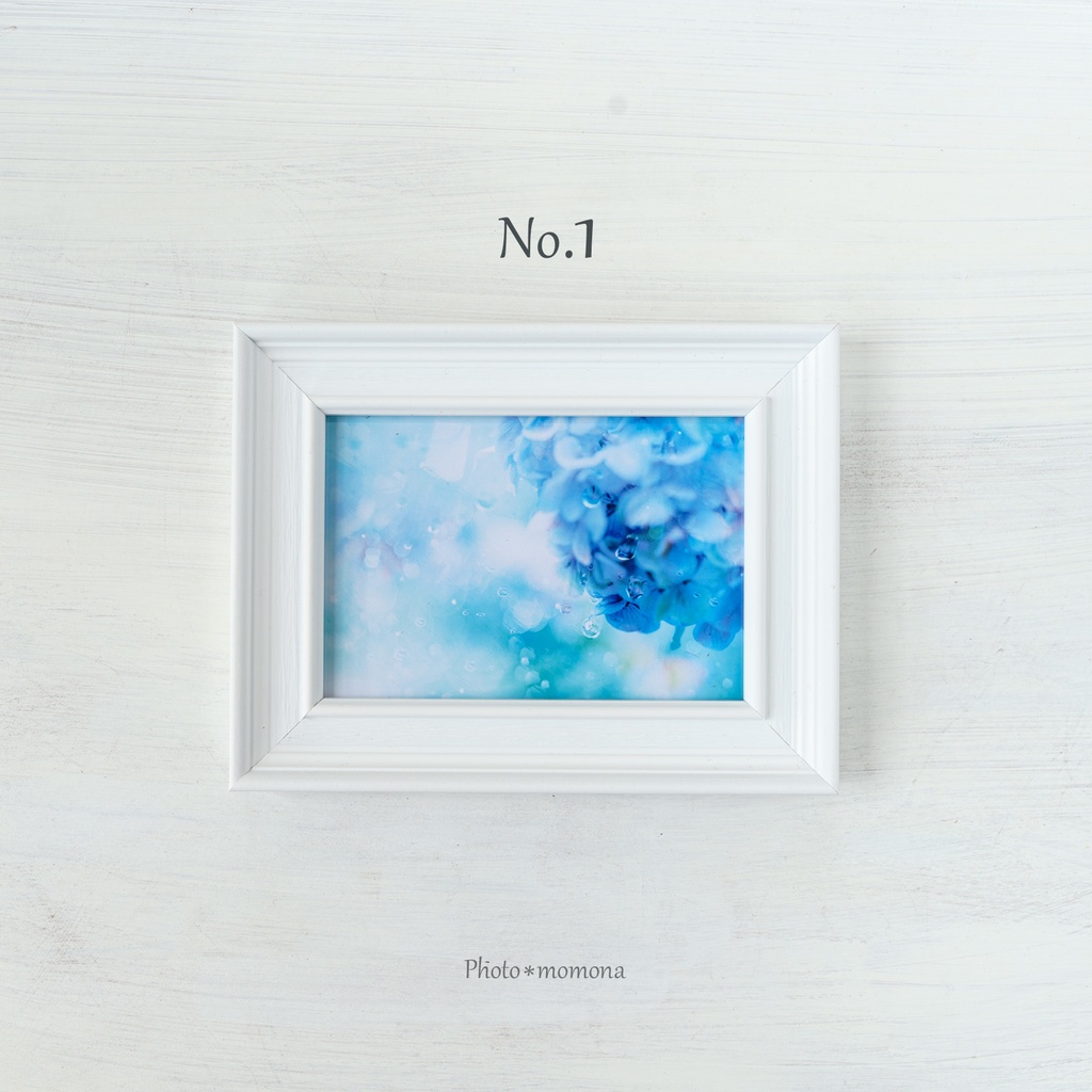 選べる紫陽花写真4枚セット