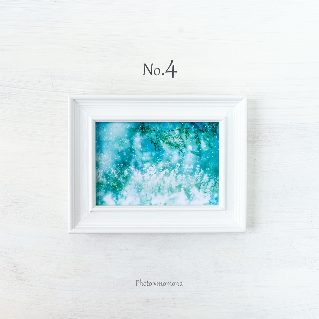 選べる紫陽花写真4枚セット