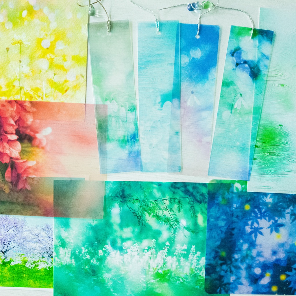 夏の処分セールAセット・あんしんBOOTHパック