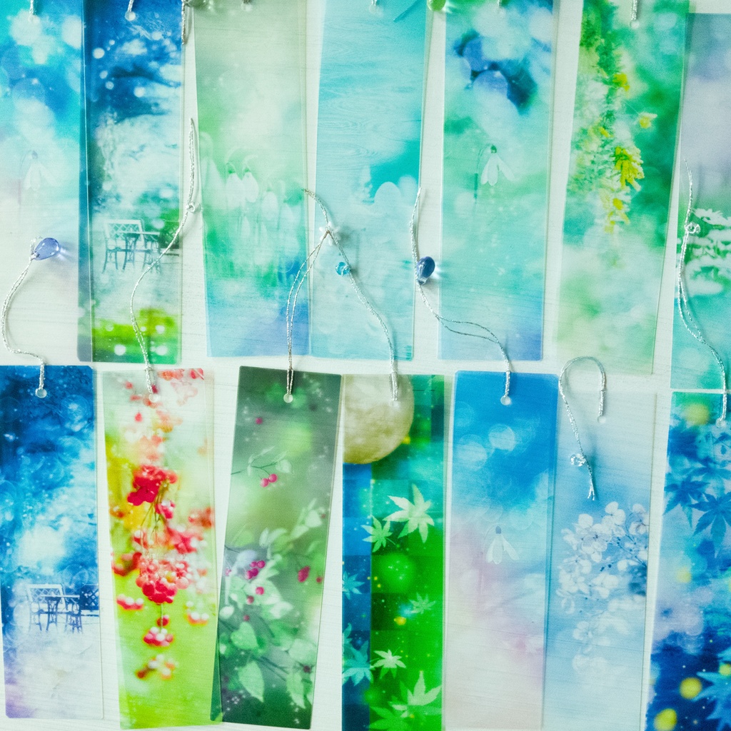 夏の処分セールAセット・あんしんBOOTHパック