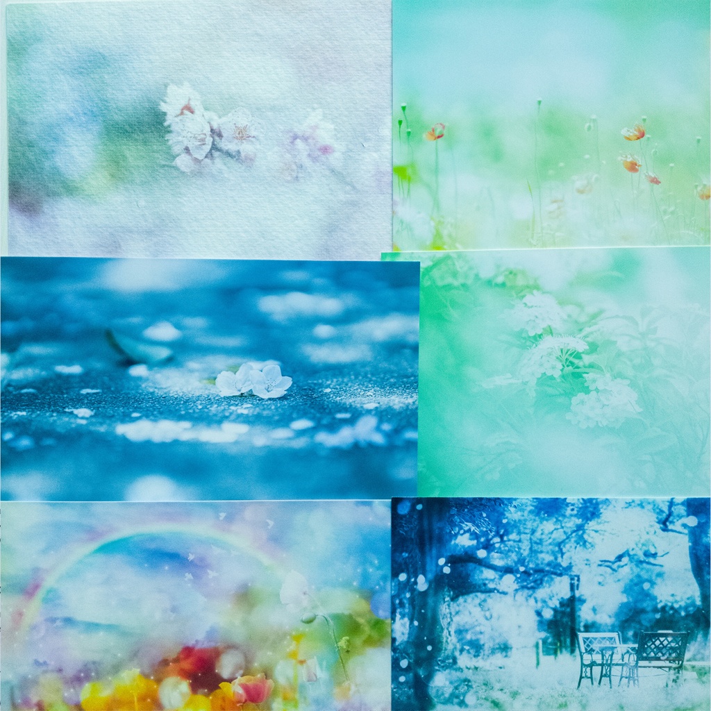 夏の処分セールAセット・あんしんBOOTHパック