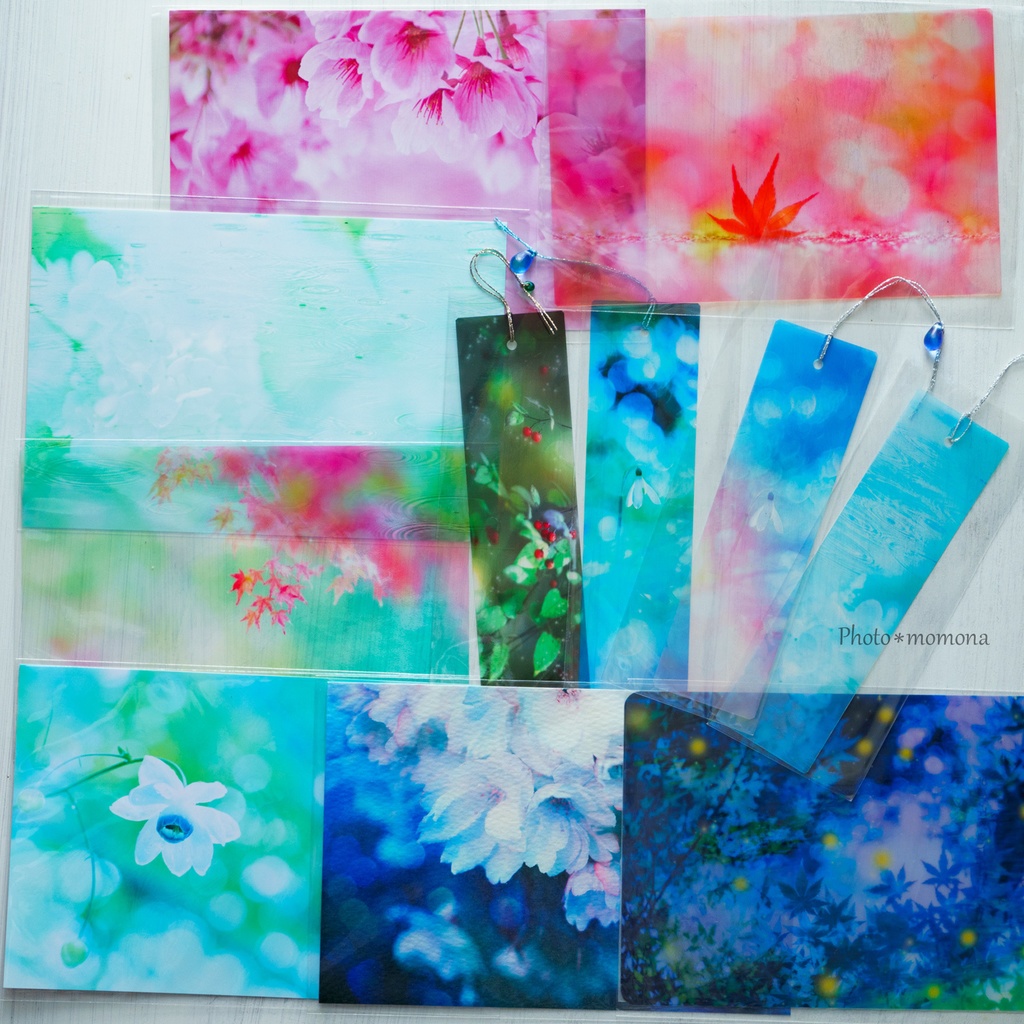 夏の処分セールBセット