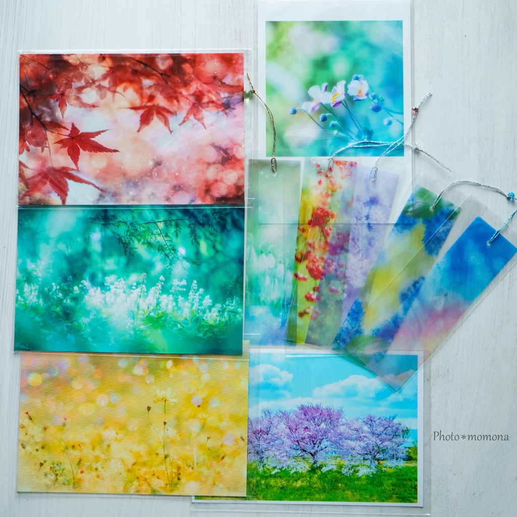 夏の処分セールAセット