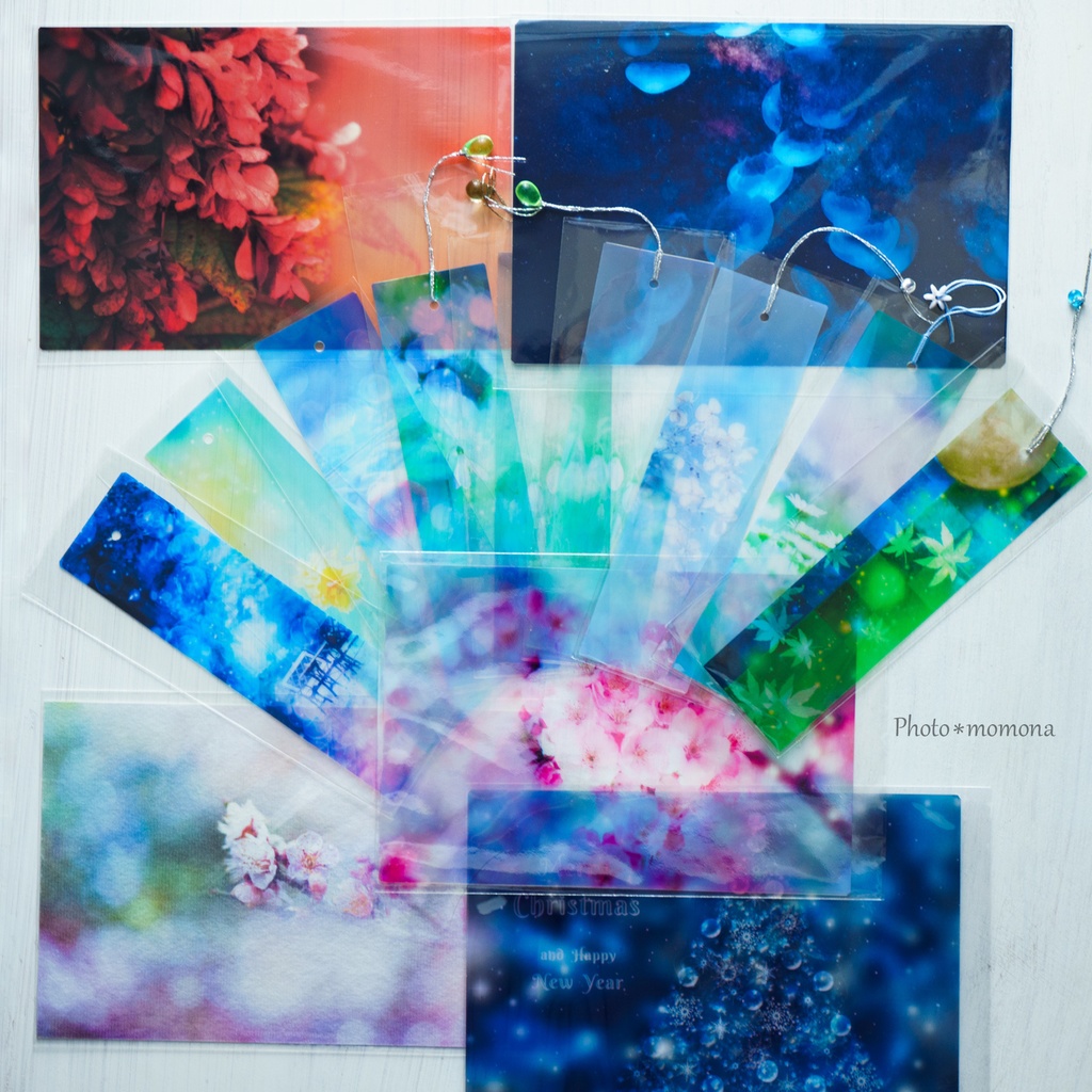 夏の処分セールAセット