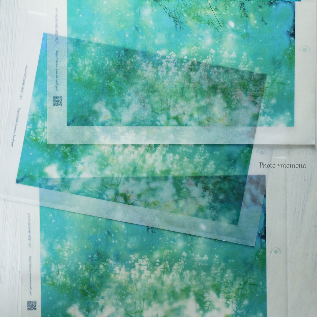 夏の処分セールAセット